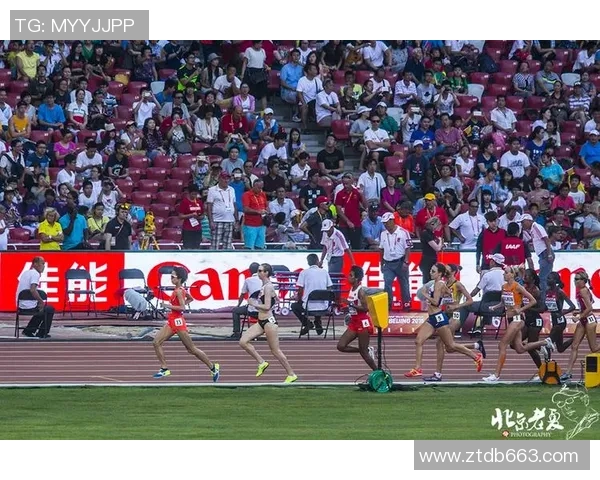 北京篮球队的世锦赛征途：从挑战到辉煌的成长之路