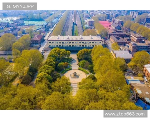 南京乒乓球队杯赛征程回顾与突破历程的深度剖析 南京乒乓球队杯赛征程回顾与突破历程的深度剖析