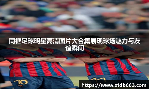 好博体育官网平台